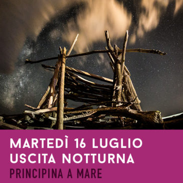 Martedì 16 luglio: Notturna – Principina a Mare