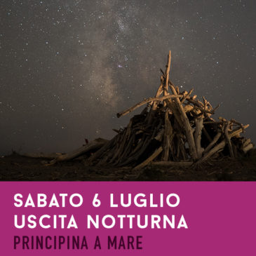 Sabato 6 luglio: Notturna – Principina a Mare