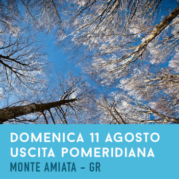 Domenica  11 Agosto: Pomeridiana con tramonto – Vetta Monte Amiata