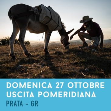 Domenica  27 Ottobre – Fotografia a passo d’asino